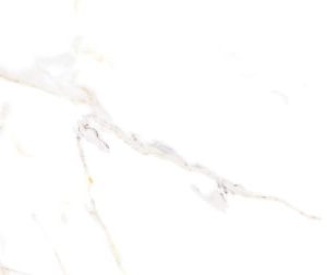 Porcelanato Gran Formato Estatuario 60×120